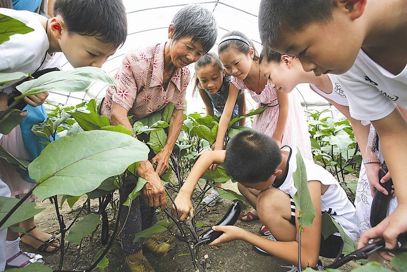 孩子们在学校的生态园里向农人学习果蔬栽培技艺