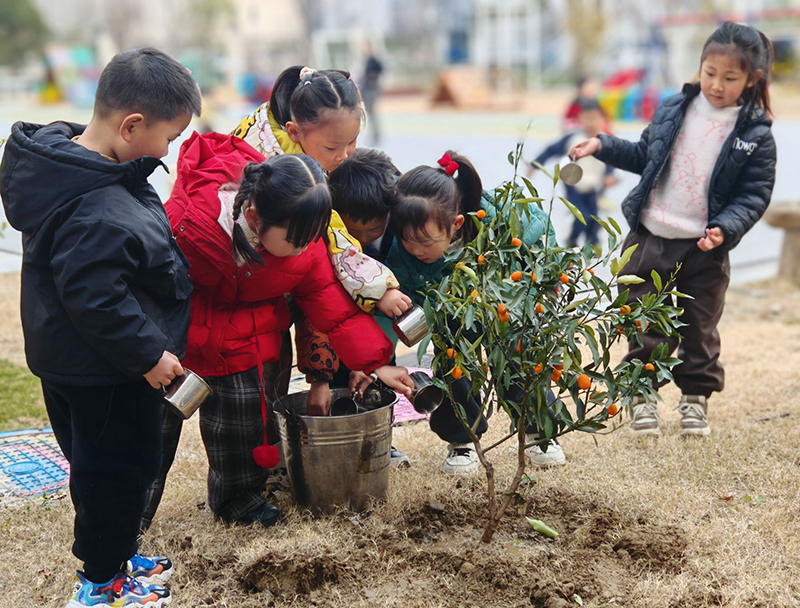 小树小树快长大